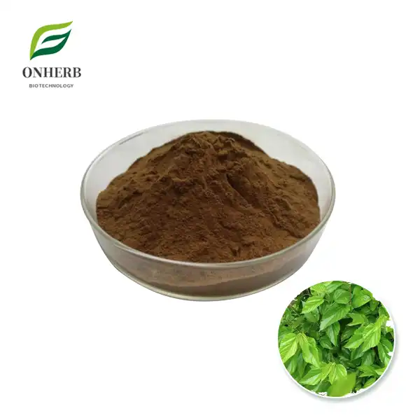 Mulberry Leaf Extract Powder